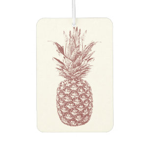 Désodorisant Pour Voiture Acier à ananas tropical