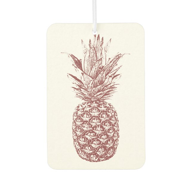 Désodorisant Pour Voiture Acier à ananas tropical (Devant)