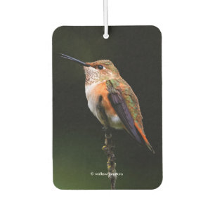 Désodorisant Pour Voiture Adorable colibri roux à la branche