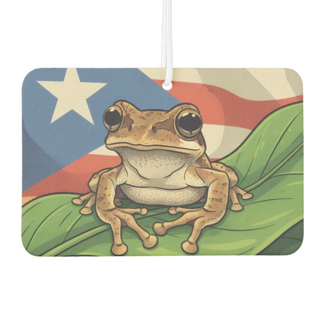 Désodorisant Pour Voiture Affiche de Fierté Retro Boricua (Devant)