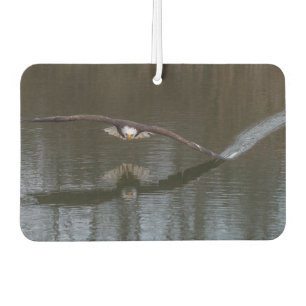 Désodorisant Pour Voiture Aigle de Bald en vol
