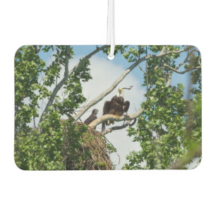 Désodorisant Pour Voiture Aigles chauds