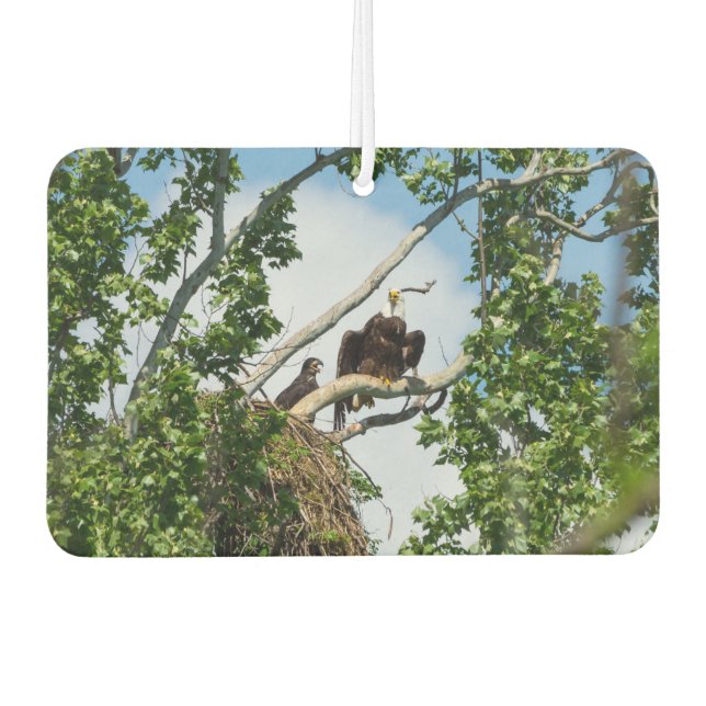 Désodorisant Pour Voiture Aigles chauds (Devant)