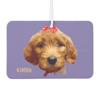 Désodorisant Pour Voiture Air Freshener Kimba