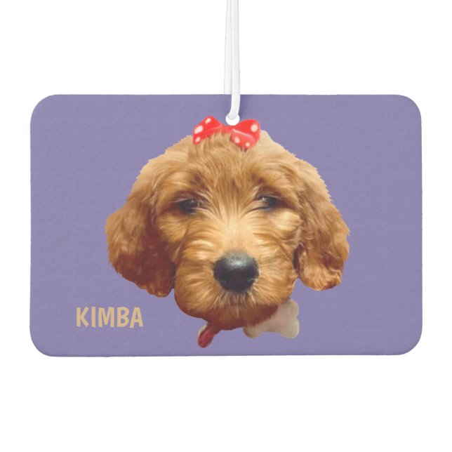 Désodorisant Pour Voiture Air Freshener Kimba (Devant)