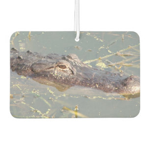 Désodorisant Pour Voiture Air Freshner de l'alligator américain