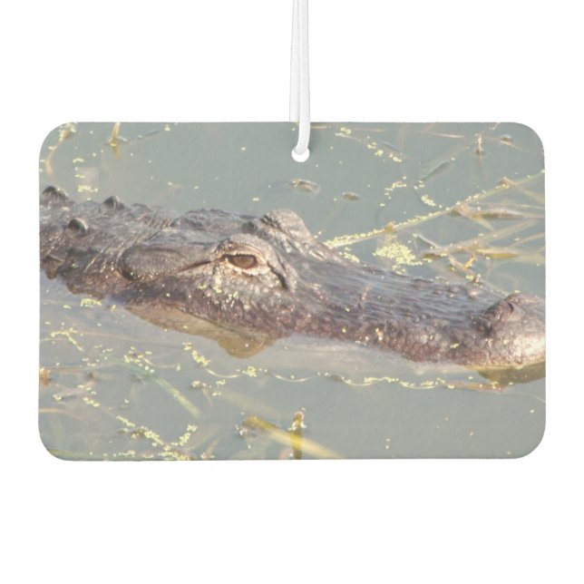 Désodorisant Pour Voiture Air Freshner de l'alligator américain (Devant)