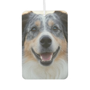 Désodorisant Pour Voiture Ajouter une Personnaliser photo pour animaux domes