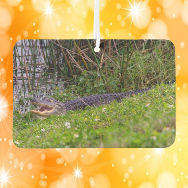 Désodorisant Pour Voiture Alligator Viera Wetlands Floride Photo (An air freshener with a photograph of an alligator relaxing in the grass in Florida.)