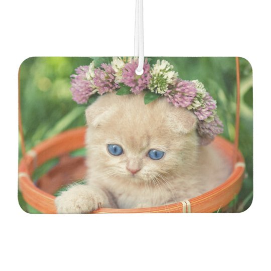 Desodorisant Pour Voiture Amoureux Des Chats Mignon De Chaton Zazzle Fr