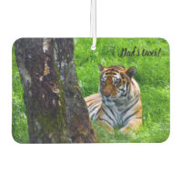 Amur Tiger Rafraîchisseur d'air