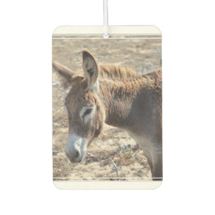 Désodorisant Pour Voiture Âne adorable