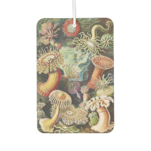 Désodorisant Pour Voiture Anémones de mer de Haeckel Collage d'art de vie ma