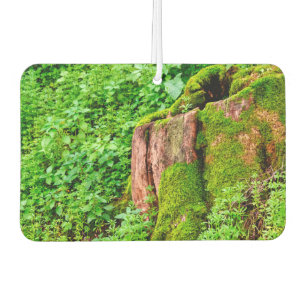 Désodorisant Pour Voiture Arbre
