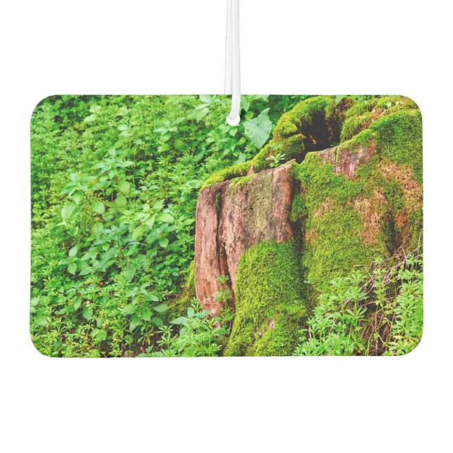 Désodorisant Pour Voiture Arbre (Devant)