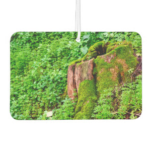 Désodorisant Pour Voiture Arbre