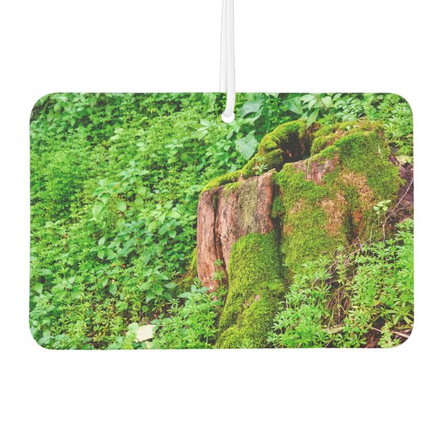 Désodorisant Pour Voiture Arbre (Devant)
