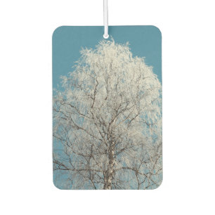 Désodorisant Pour Voiture Arbre blanc contre ciel bleu sans nuages