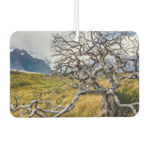 Désodorisant Pour Voiture Arbre brûlé, Torres del Paine, Chili