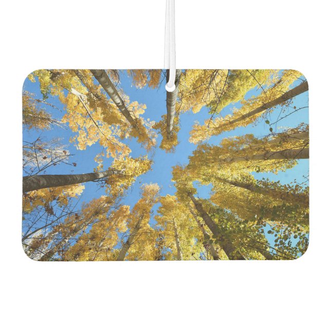 Désodorisant Pour Voiture Arbres (Devant)