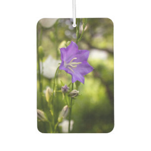 Désodorisant Pour Voiture Arbres et fleurs romantiques – Fantaisie botanique