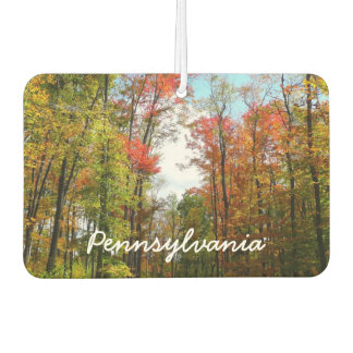 Désodorisant Pour Voiture Automnes Arbres et Ciel bleu Automne Photographie