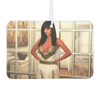 Désodorisant Pour Voiture Back to That Special Place air freshener