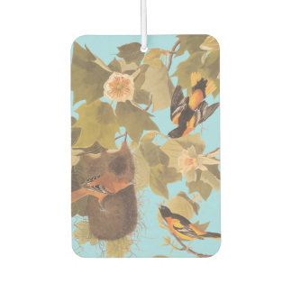 Désodorisant Pour Voiture Baltimore Oriole Audubon Bird Family avec nid