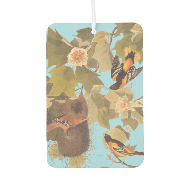 Désodorisant Pour Voiture Baltimore Oriole Audubon Bird Family avec nid (Devant)