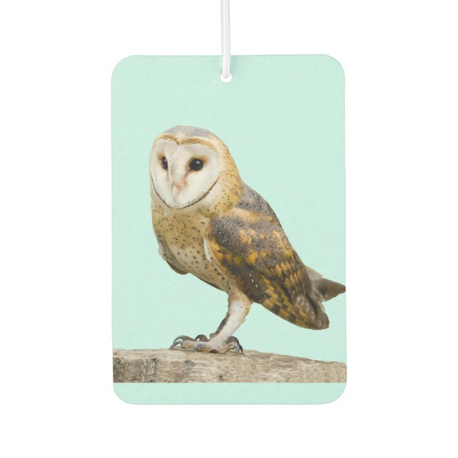 Désodorisant Pour Voiture Barn Owl (Devant)