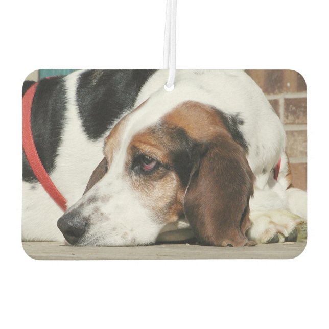Désodorisant Pour Voiture Basset Hound (Dos)