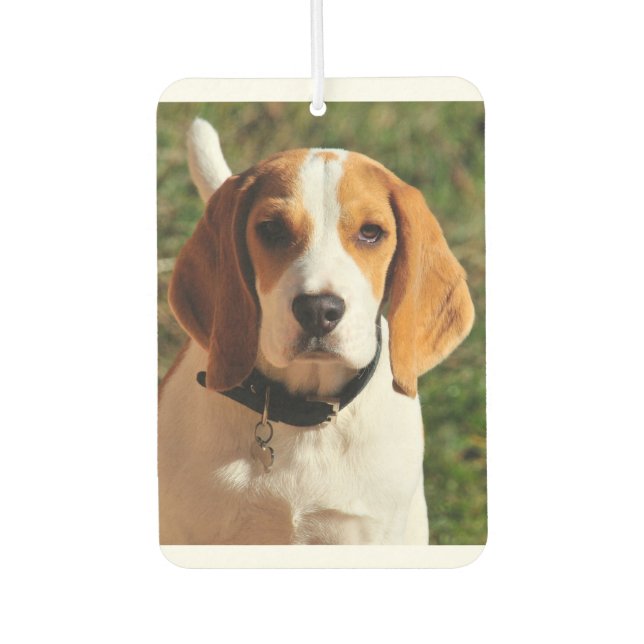 Désodorisant Pour Voiture Beagle Car Air Freshener (Devant)