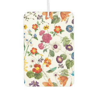 Désodorisant Pour Voiture Beau Botanique Aquarelle