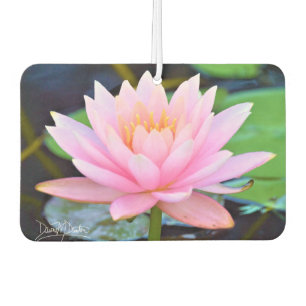 Désodorisant Pour Voiture Beauté rose parfaite