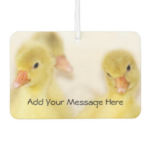 Désodorisant Pour Voiture Bébé Canards