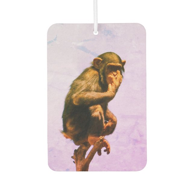 Désodorisant Pour Voiture Bébé drôle de chimpanzé (Devant)