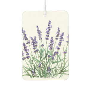 Désodorisant Pour Voiture Belle Lavande Jardin Fleur Floral