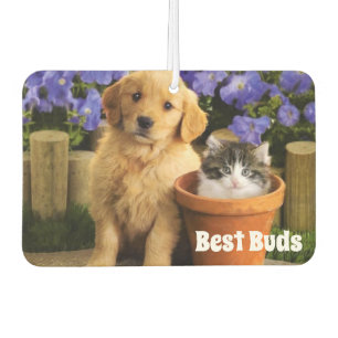 Désodorisant Pour Voiture Best Buds Air Freshener