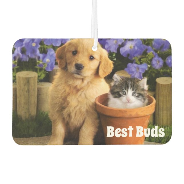 Désodorisant Pour Voiture Best Buds Air Freshener (Devant)