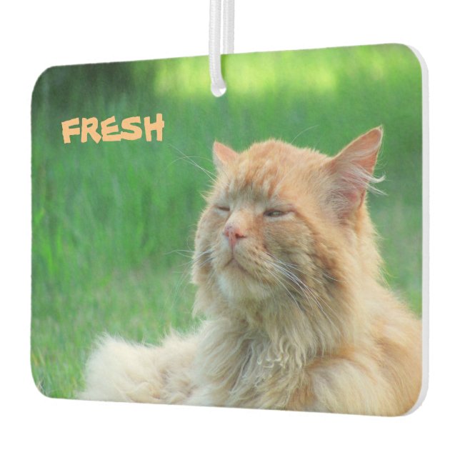 Désodorisant Pour Voiture Big Orange Chat dit "frais" (Gauche)
