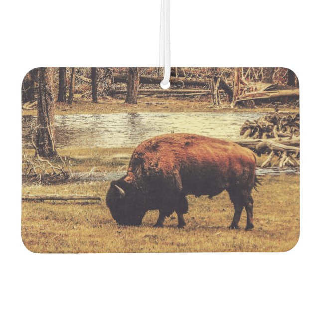 Désodorisant Pour Voiture Bison (Devant)