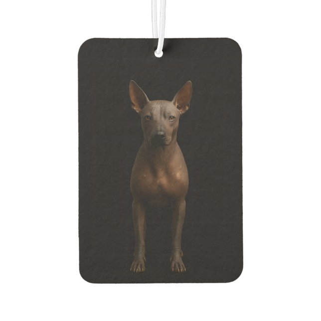 Désodorisant Pour Voiture Black 4 Luxe Car Air Fresheners Argentina Pila Dog (Dos)