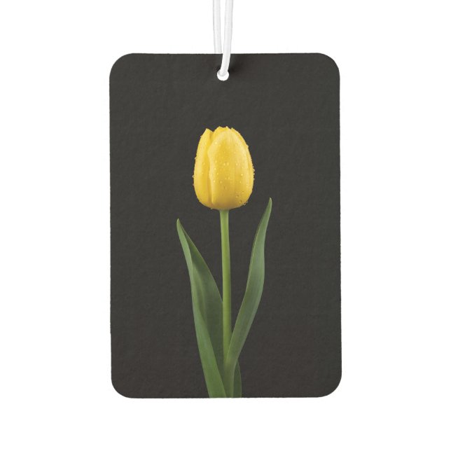 Désodorisant Pour Voiture Black 4 Luxe Car Air Fresheners Golden Tulip (Dos)