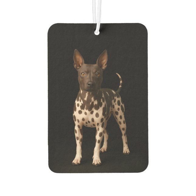 Désodorisant Pour Voiture Black 4 Luxe Car Air Fresheners, Hairless Terrier (Dos)