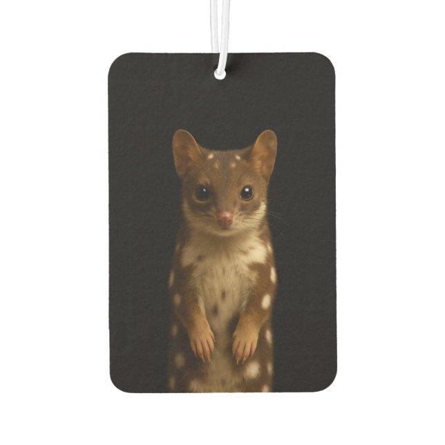 Désodorisant Pour Voiture Black 4 Luxe Car Air Fresheners Sweet Quoll (Dos)