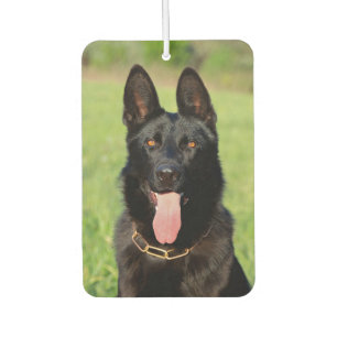 Désodorisant Pour Voiture Black German Shepherd Dog