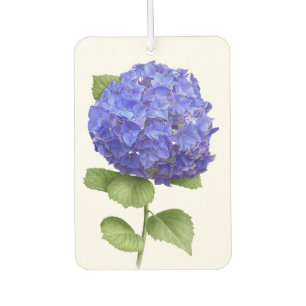 Désodorisant Pour Voiture Blue Hydrangea Flower Botanical Art Design