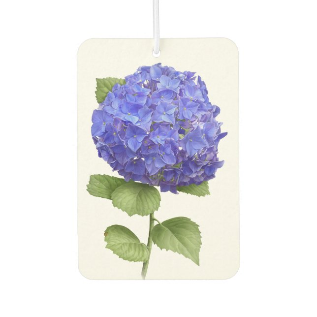 Désodorisant Pour Voiture Blue Hydrangea Flower Botanical Art Design (Devant)