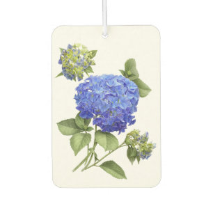 Désodorisant Pour Voiture Blue Hydrangea Flower Botanical Art Design