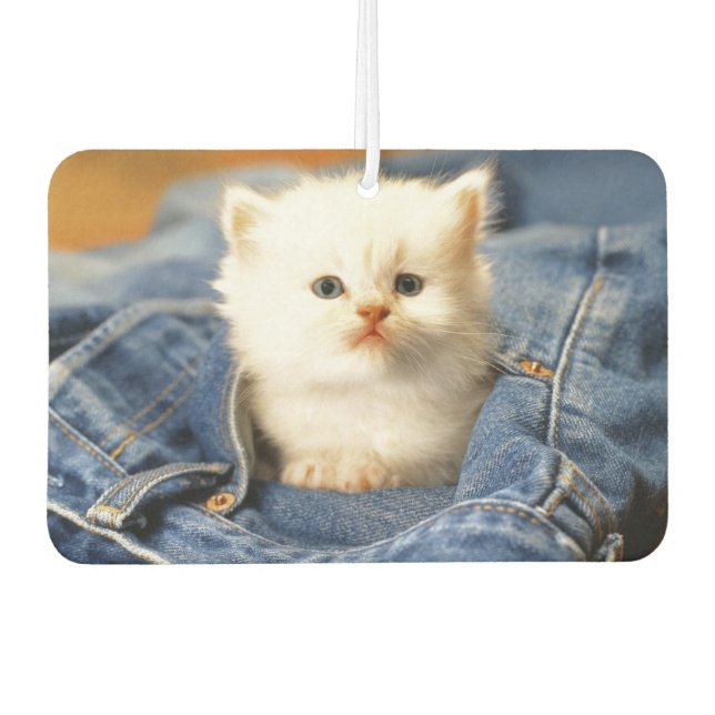 Désodorisant Pour Voiture Blue Jean Pocket Kitten Air Freshener (Devant)